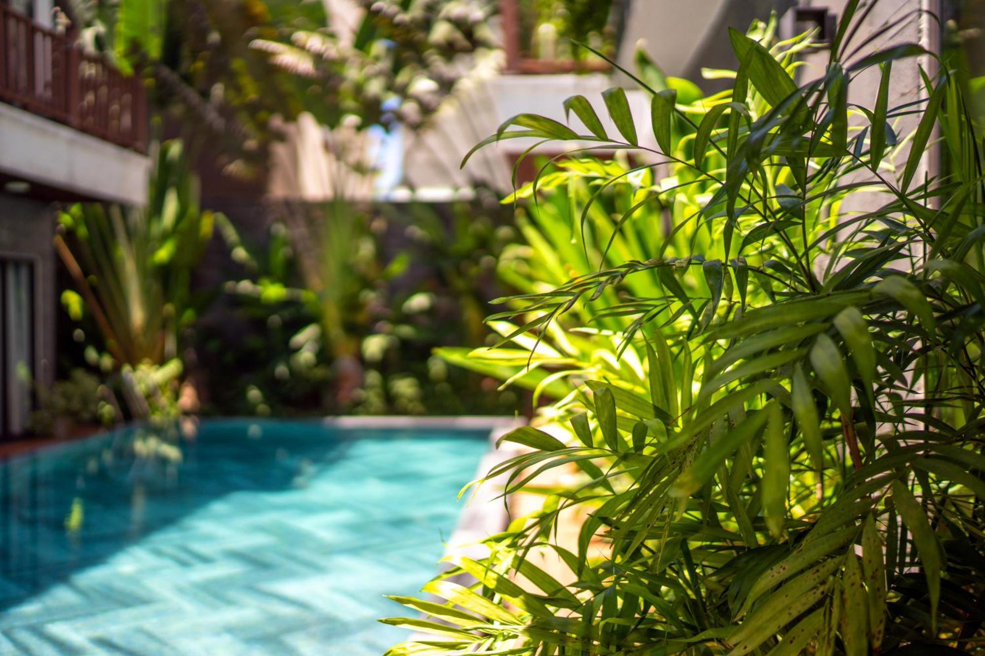 December Hoi An Villa Екстер'єр фото